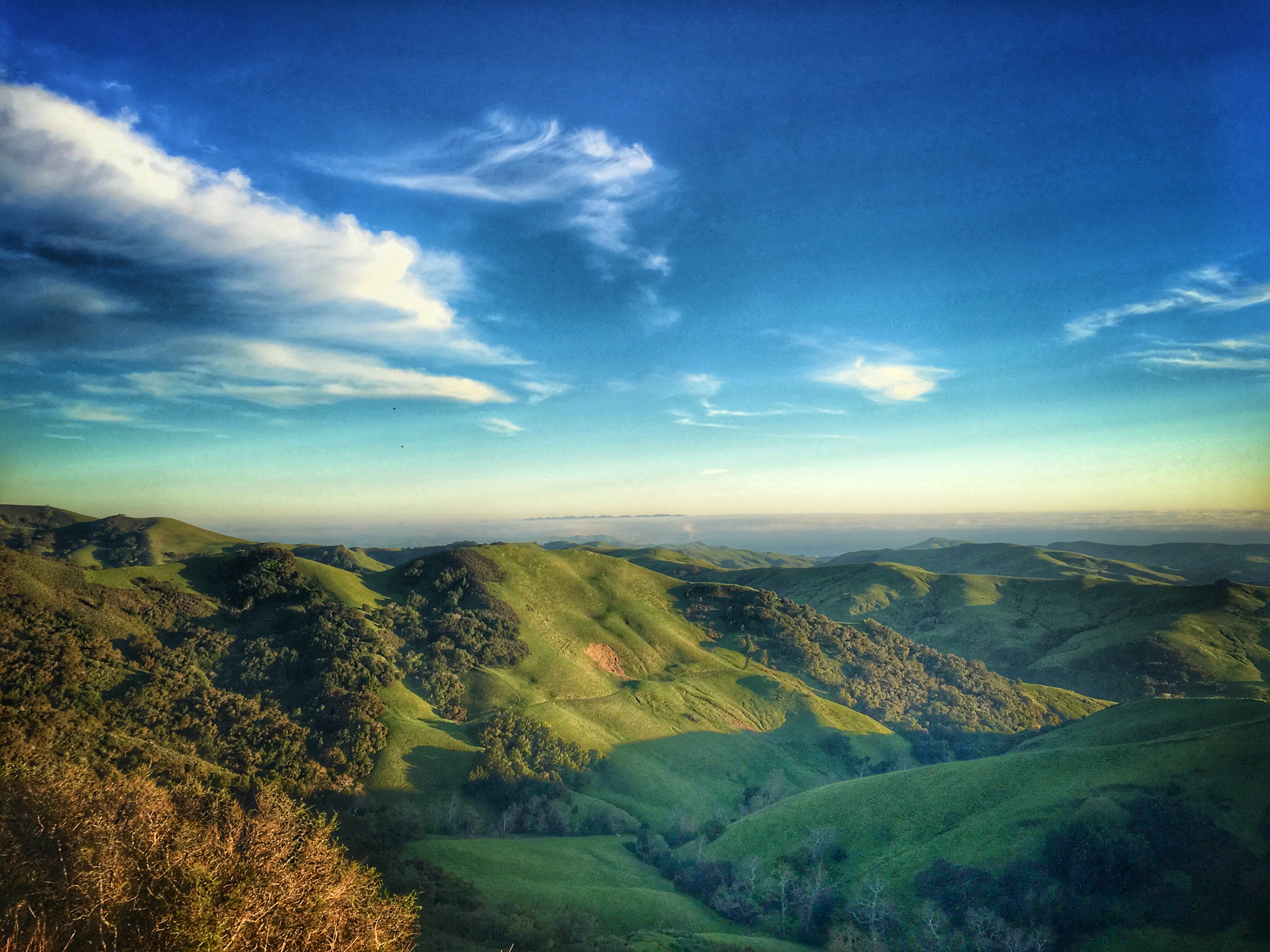 Another Green World