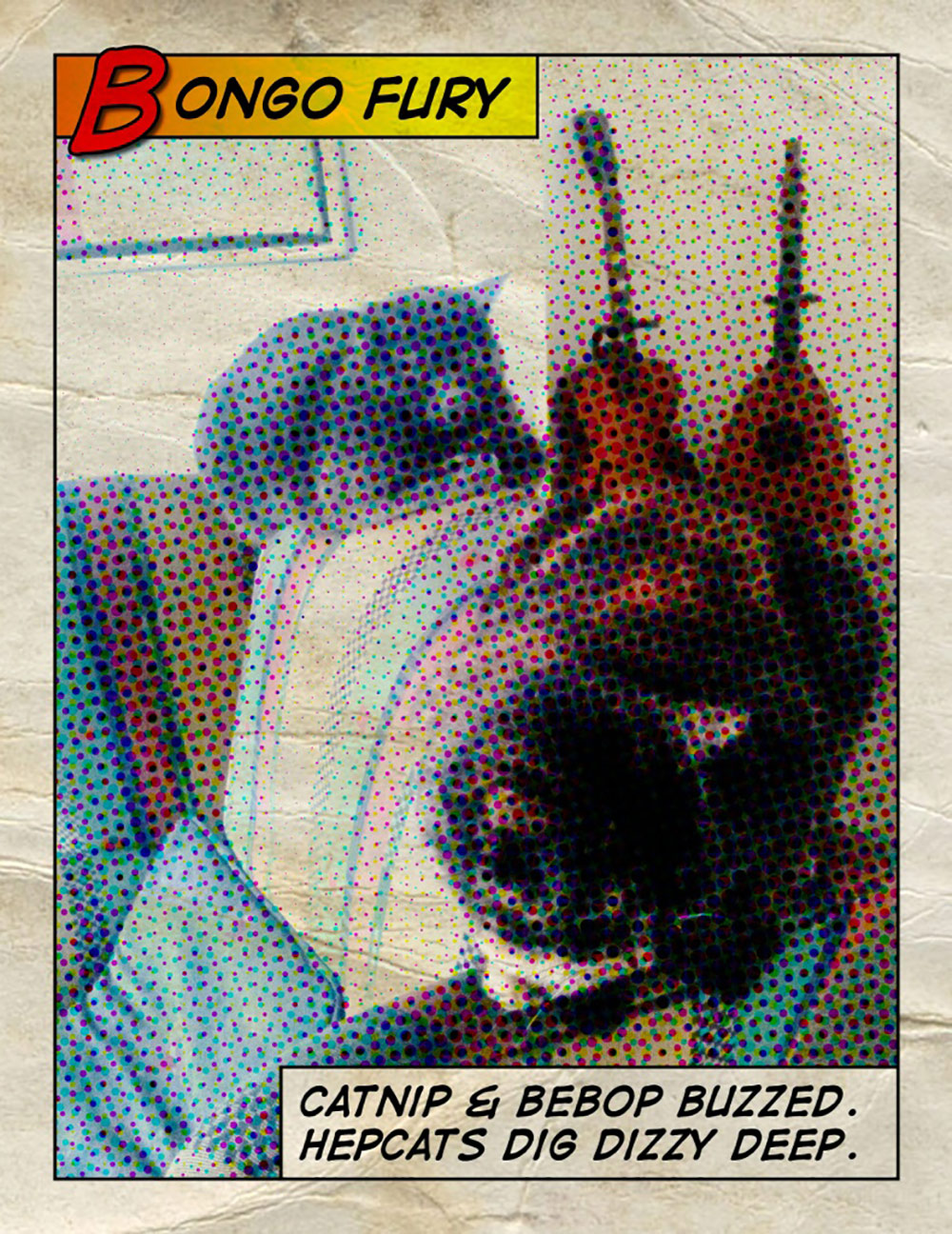 Bongo Fury