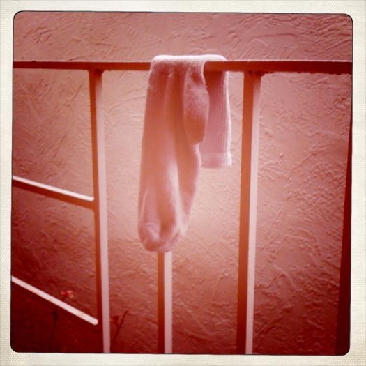 Hipsta-Hoppity Dong Warmer