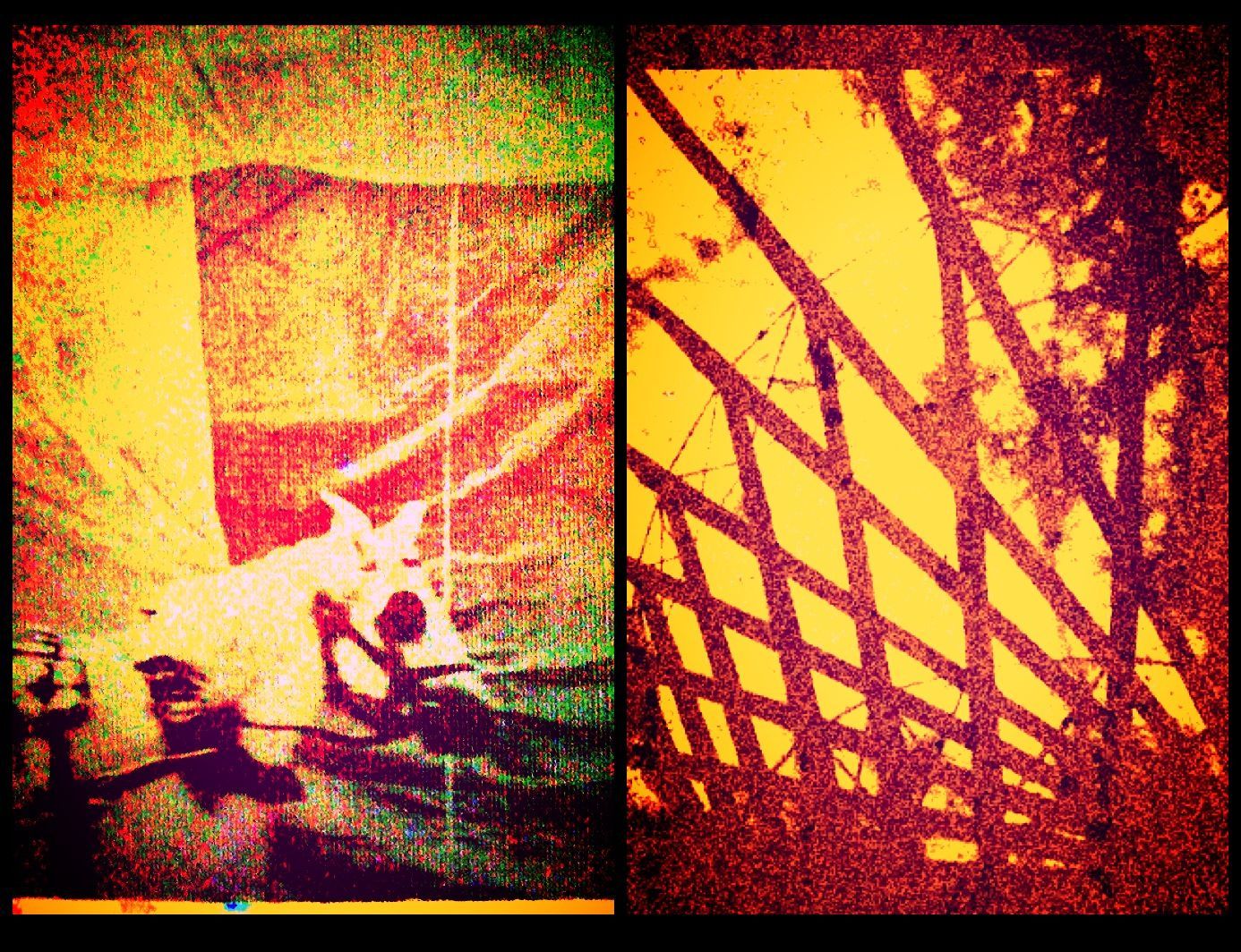 Horse Dreams The Structure Of The Rain