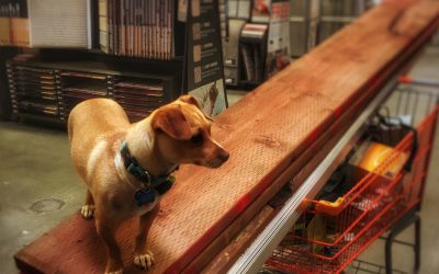 Crackin’ The Boards