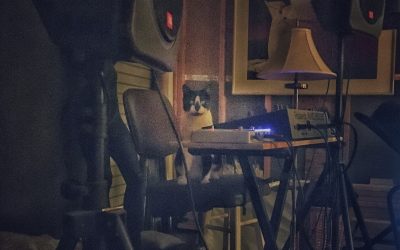 Monkey Blue At The Controls