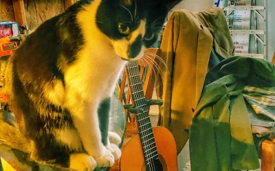 Monkey Blue & Guitar