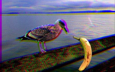 The Rapture of the Sun King