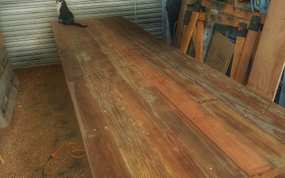 Monkey Blue On The New Table