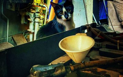 The Mechanic
