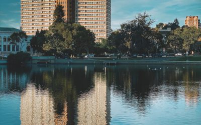 Sun King Series ~ The Time Traveler