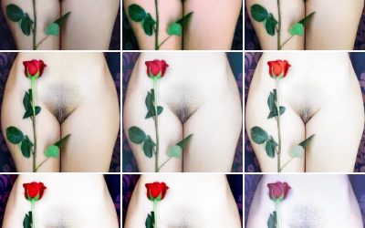 How iPhone Photo Apps Work, Part 2