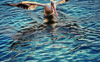 {wallpapers} Lift-Off