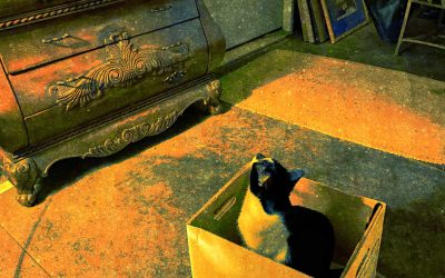 Monkey Blue Thinking Inside The Box