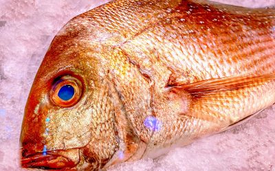 It was a day that started like any other …