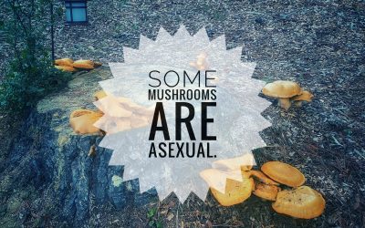 {podcast} Today’s Forgotten Ones In Identity Politics: Asexuals