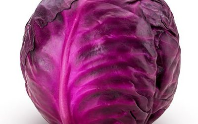 {podcast} Grandma’s Red Cabbage Recipe