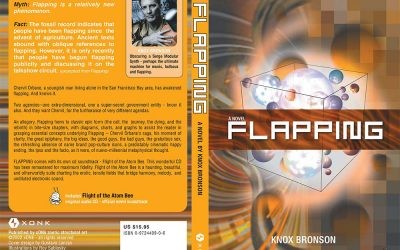 {podcast} The 2oth Anniversary of the Publication of My Novel, “Flapping”