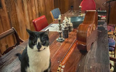 Monkey Blue On The Table