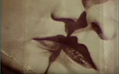 {gallery} Mysterious Odds ‘n Ends