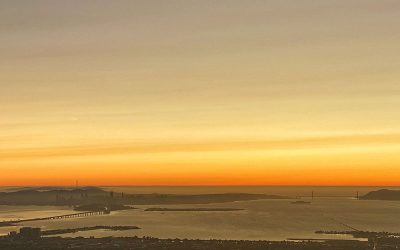 {wild bubble} Winter Solstice 2024