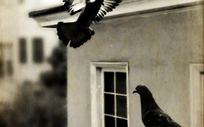 Featured on a Polish Website szerokikadr.pl