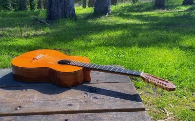 {wild bubble} Tilden Park Newt Migration