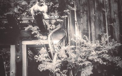 Sorry, that earlier email was not supposed to be sent just then.