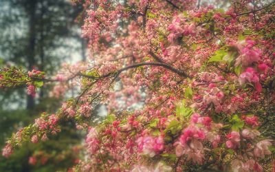 {wild bubble} Another demo, “I’m Falling Down,” from my next album