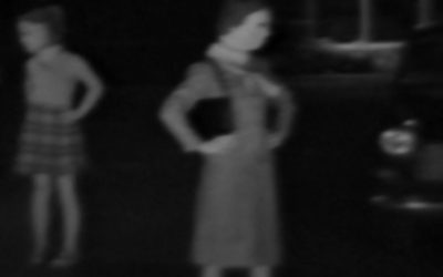 {wild bubble} Snake Theater—Auto (1979) + Videos