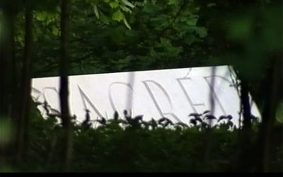 A Wonderful Little Short Film I Stumbled Upon, Narrated by David Bowie